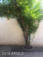 10471 W Devonshire Ave, Phoenix, AZ 85037 photo 16