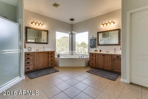 452 E Benrich Dr, Gilbert, AZ 85295 photo 18