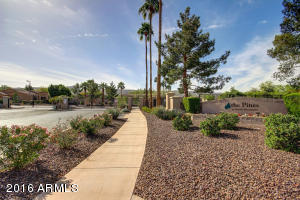 2119 E Beautiful Ln, Phoenix, AZ 85042 photo 29
