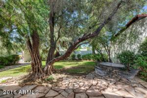 6821 N 4th Pl, Phoenix, AZ 85012 photo 3