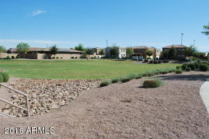 3037 E Patrick St, Gilbert, AZ 85295 photo 6