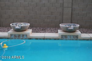 3037 E Patrick St, Gilbert, AZ 85295 photo 23