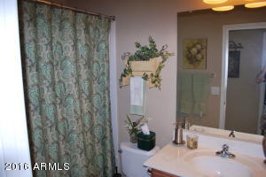 3037 E Patrick St, Gilbert, AZ 85295 photo 20