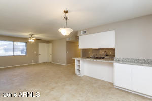 921 E 10th Dr, Mesa, AZ 85204 photo 8