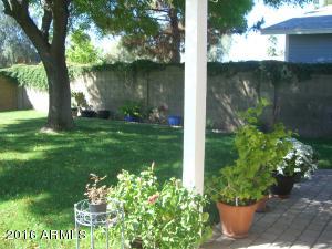 4047 E Downing St, Mesa, AZ 85205 photo 21
