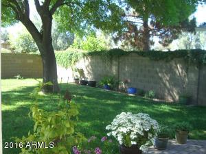 4047 E Downing St, Mesa, AZ 85205 photo 20
