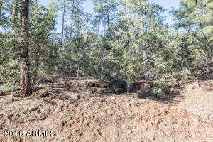 6735 Tera Lynn Way, Pine, AZ 85544 photo 26