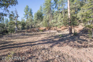 6735 Tera Lynn Way, Pine, AZ 85544 photo 28