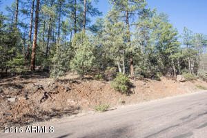 6735 Tera Lynn Way, Pine, AZ 85544 photo 25