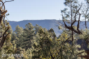 6735 Tera Lynn Way, Pine, AZ 85544 photo 30