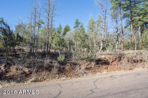 6735 Tera Lynn Way, Pine, AZ 85544 photo 27