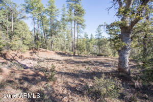 6735 Tera Lynn Way, Pine, AZ 85544 photo 29