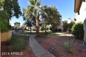 4201 E Camelback Rd #67, Phoenix, AZ 85018 photo 1