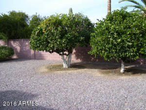 5824 E Decatur St, Mesa, AZ 85205 photo 16