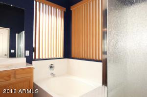 10238 E Jerome Ave, Mesa, AZ 85209 photo 18