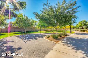 11110 E Shepperd Ave, Mesa, AZ 85212 photo 68
