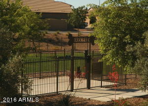11110 E Shepperd Ave, Mesa, AZ 85212 photo 52
