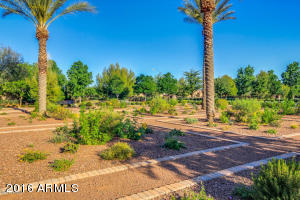 11110 E Shepperd Ave, Mesa, AZ 85212 photo 59