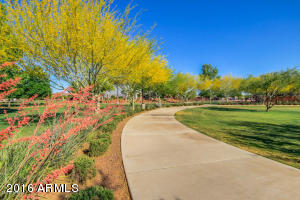 11110 E Shepperd Ave, Mesa, AZ 85212 photo 70