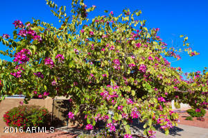 1234 E Beverly Ln, Phoenix, AZ 85022 photo 4