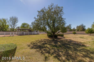 4345 E Caroline Ln, Gilbert, AZ 85296 photo 23