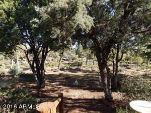 408 W Christopher Pt, Payson, AZ 85541 photo 23