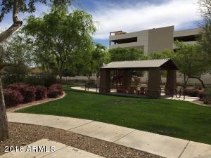 1709 Elgin St, Gilbert, AZ 85295 photo 18