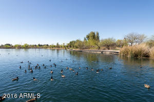 2976 E Campbell Rd, Gilbert, AZ 85234 photo 38