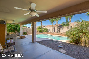 11312 Edgewood Ave, Mesa, AZ 85208 photo 15