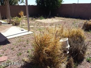 2411 E Rosemonte Dr, Phoenix, AZ 85050 photo 17