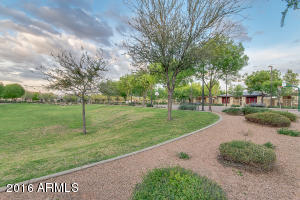 1749 S Reseda St, Gilbert, AZ 85295 photo 52