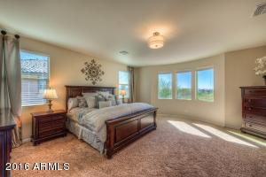 3629 E Cat Balue Dr, Phoenix, AZ 85050 photo 5
