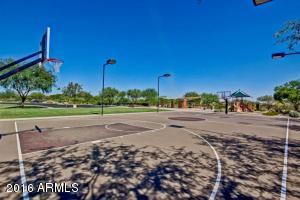 3629 E Cat Balue Dr, Phoenix, AZ 85050 photo 37