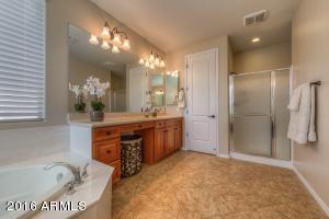 3629 E Cat Balue Dr, Phoenix, AZ 85050 photo 30