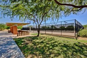 3629 E Cat Balue Dr, Phoenix, AZ 85050 photo 39