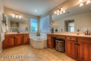 3629 E Cat Balue Dr, Phoenix, AZ 85050 photo 8
