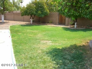 3112 E Dahlia Dr, Phoenix, AZ 85032 photo 10