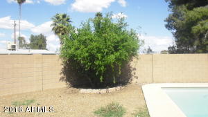 3112 E Dahlia Dr, Phoenix, AZ 85032 photo 28