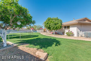 2031 W Schell Dr, Phoenix, AZ 85023 photo 26