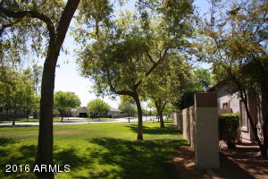 3495 E Linda Ln, Gilbert, AZ 85234 photo 5