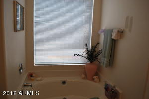 1027 W 14th Ave, Apache Junction, AZ 85120 photo 21