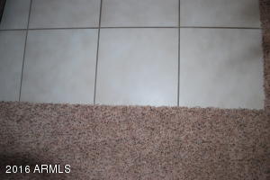 1027 W 14th Ave, Apache Junction, AZ 85120 photo 9