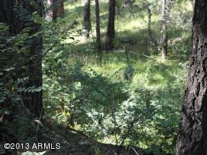 697 S Morris Mdws, Payson, AZ 85541 photo 6