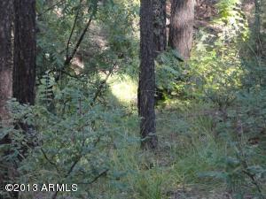 697 S Morris Mdws, Payson, AZ 85541 photo 5
