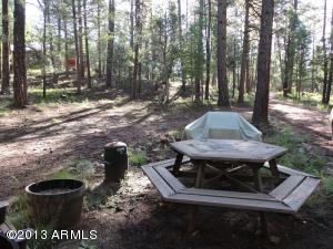 697 S Morris Mdws, Payson, AZ 85541 photo 3