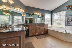 817 W Calypso Dr, Gilbert, AZ 85233 photo 17