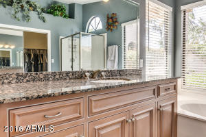 817 W Calypso Dr, Gilbert, AZ 85233 photo 19