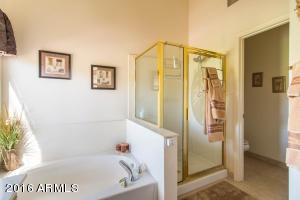 337 E Palomino Ct, Gilbert, AZ 85296 photo 18