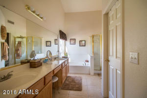 337 E Palomino Ct, Gilbert, AZ 85296 photo 17