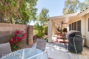 337 E Palomino Ct, Gilbert, AZ 85296 photo 21